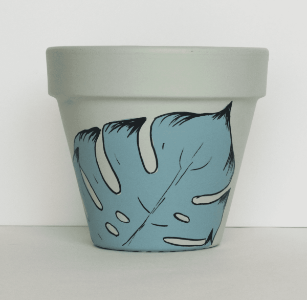 Monstera Plant Pot